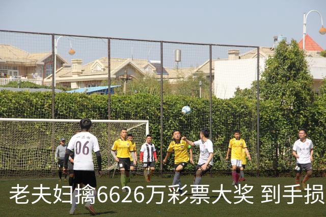 老夫妇擒6626万彩票大奖 到手损失50%决定平分