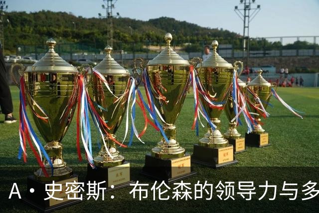 A·史密斯：布伦森的领导力与多兰的投入成就了尼克斯的冠军